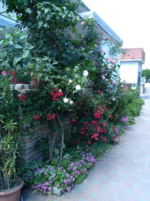Apartments Pulic Skradin Exterior photo